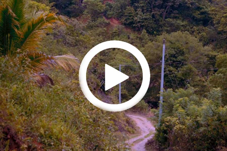 Video en Facebook